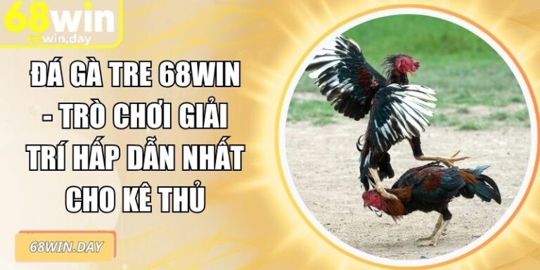 Đá Gà Tre 68win - Trò Chơi Giải Trí Hấp Dẫn Nhất Cho Kê Thủ 2 đá gà tre 68win